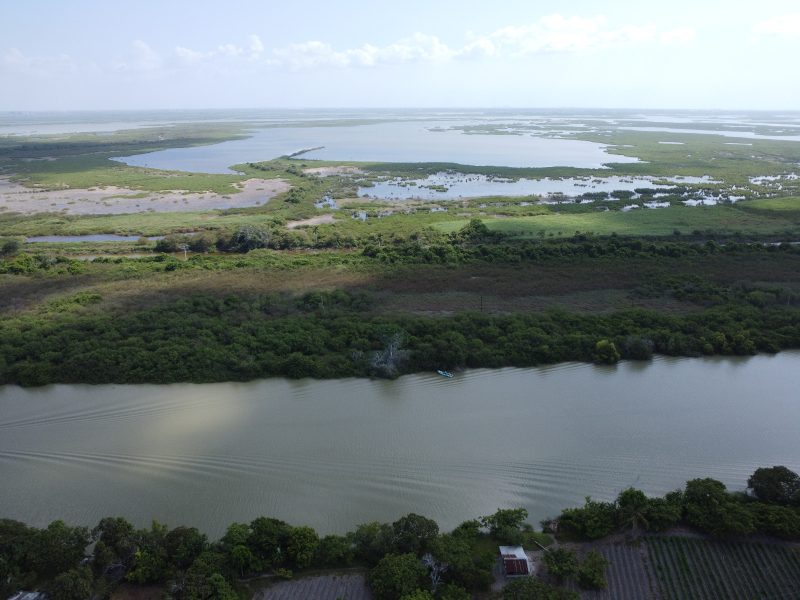 Hectáreas en Altamira