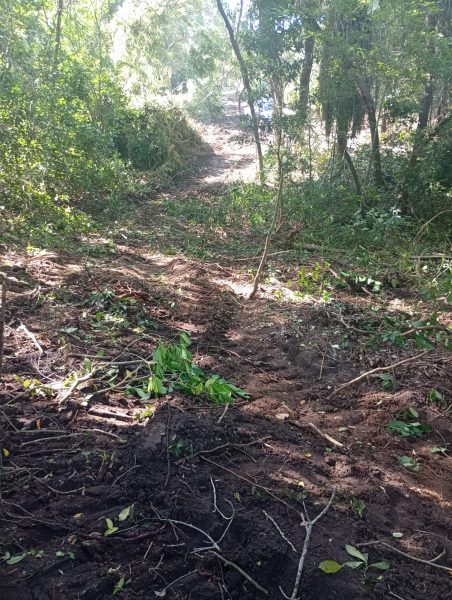Hectareas en Carretera Tuxpan Tampico