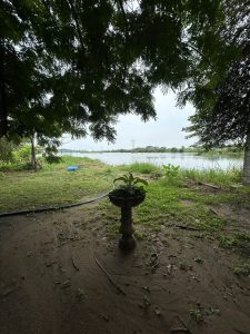Terreno El Ojital Tampico